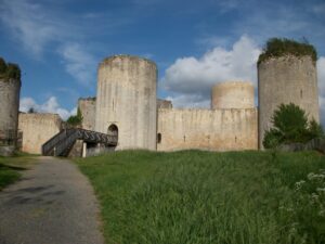 Chateau Coudray Salbart