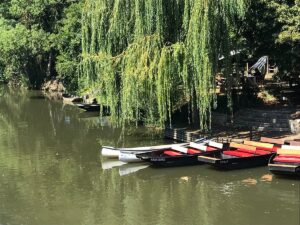 The Green Venice