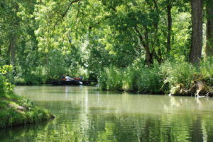The Marais Poitevin