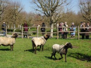 Parc Mouton Village