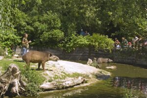 Zoo des Sables