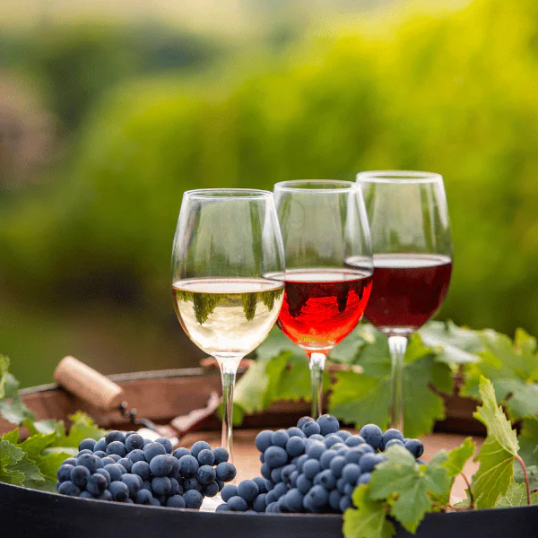 Three wine glasses—white, rosé, and red—stand on a barrel with bunches of grapes and vine leaves, set against a blurred green vineyard background.