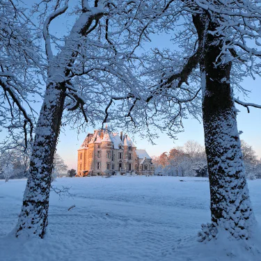 A large, historic building is seen through two snow-covered trees, surrounded by a snowy landscape under a clear blue sky. The sunlight casts a warm glow on the building's facade.