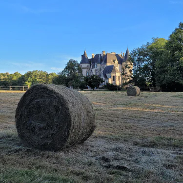 A large round hay bale sits in a grassy field with another hay bale farther back. Behind them, a castle-like building with pointed turrets is partially surrounded by trees under a clear blue sky.