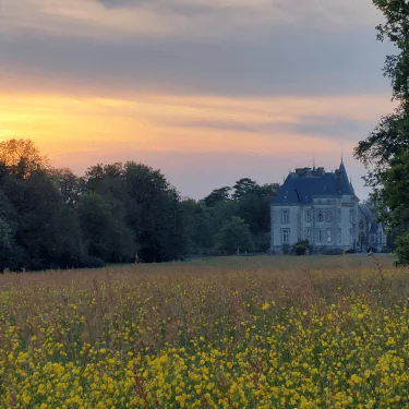 A stone château sits beyond a field of yellow wildflowers and tall grass at sunset, with trees framing the scene and a colourful sky.