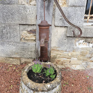 An old, rusty water pump is mounted on a stone wall. Below it, a stone planter filled with soil and small purple flowers sits on a bed of reddish gravel.