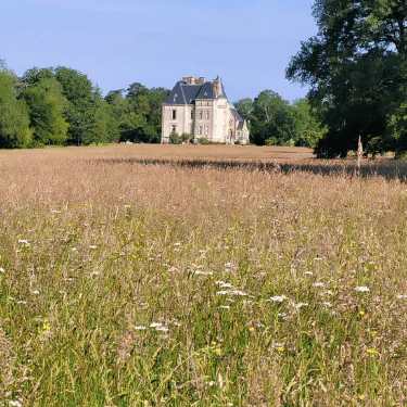 A stone mansion with steep roofs stands in the distance, surrounded by trees and a large field of tall grass and wildflowers under a clear blue sky.
