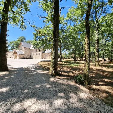 A stone house with a gravel drive is surrounded by tall trees and sunlight filtering through the leaves on a clear day.